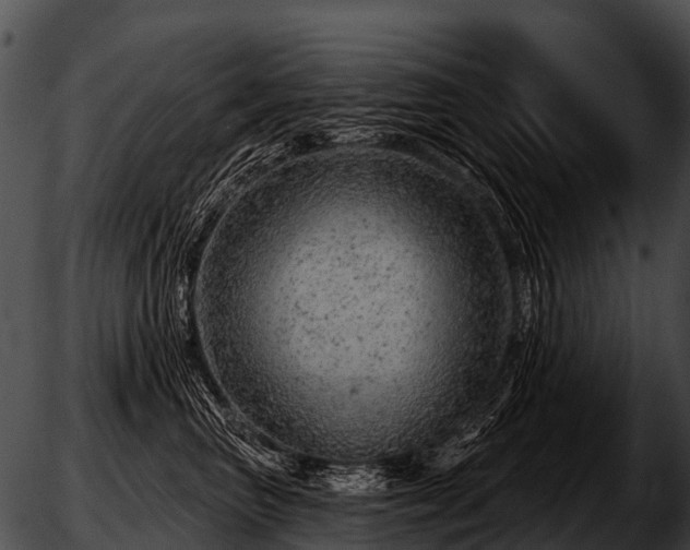 X0000051860667200507012342