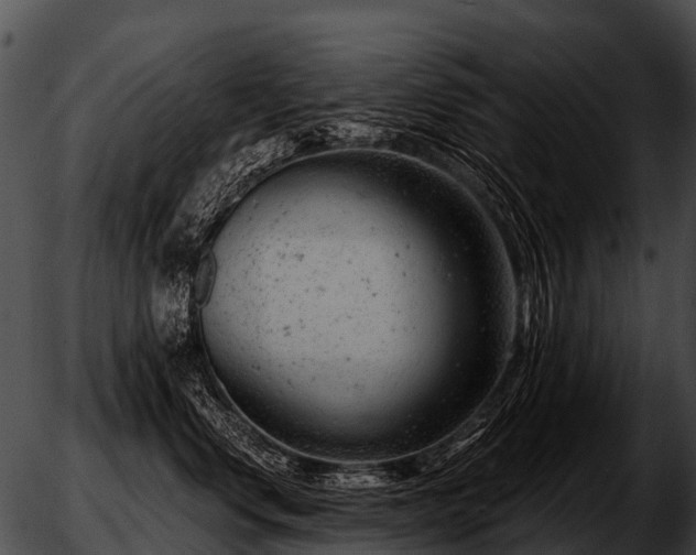 X0000051860668200507012342