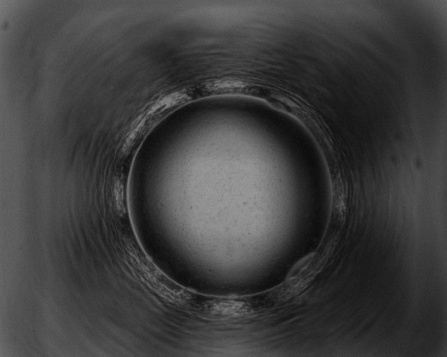 X0000051860669200507012342