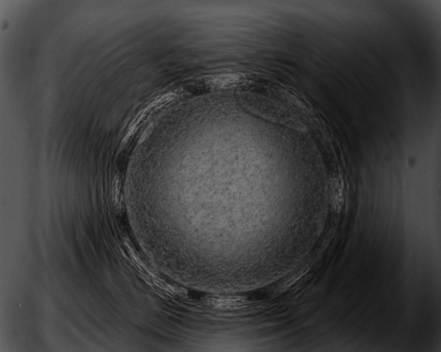 X0000051860670200507012342