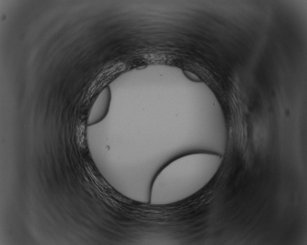 X0000051860671200507012342