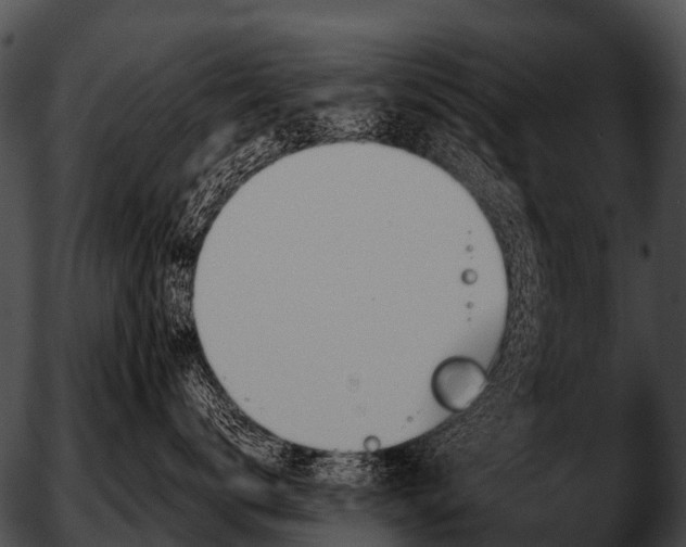 X0000051860672200507012342