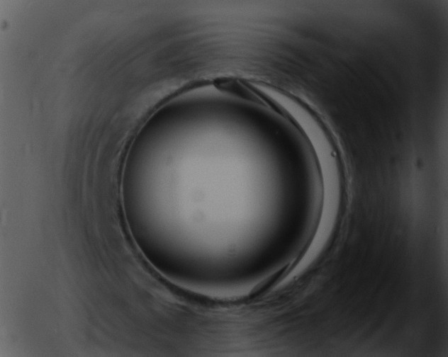 X0000051860673200507012341