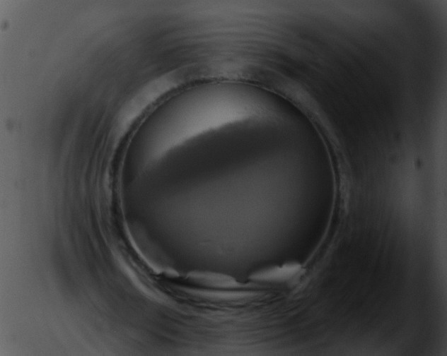 X0000051860674200507012341