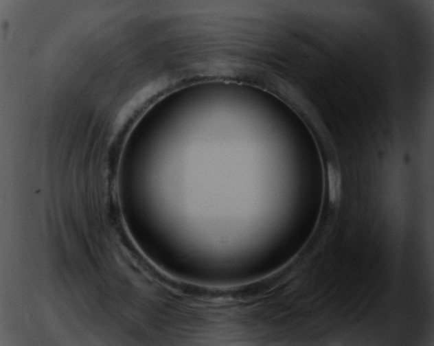 X0000051860675200507012341