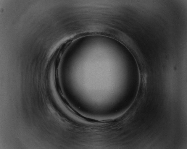 X0000051860676200507012341