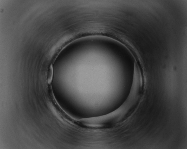 X0000051860677200507012341