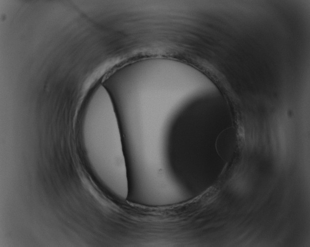 X0000051860678200507012341