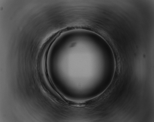 X0000051860680200507012341