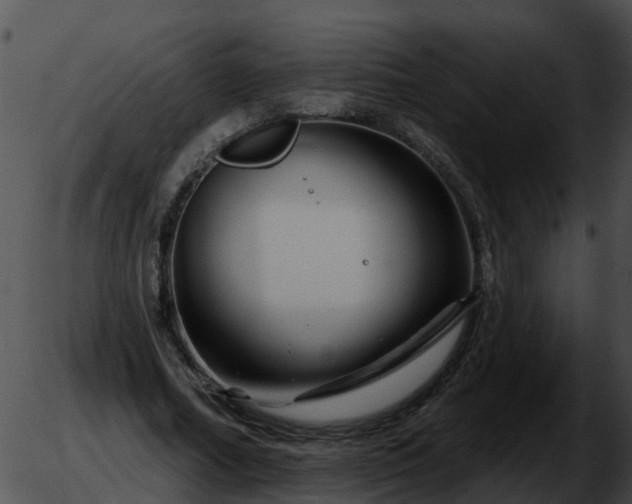 X0000051860682200507012341