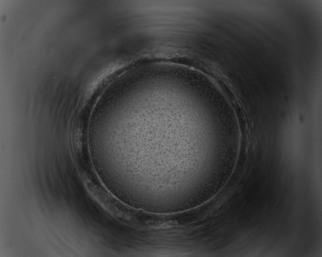 X0000051860683200507012341