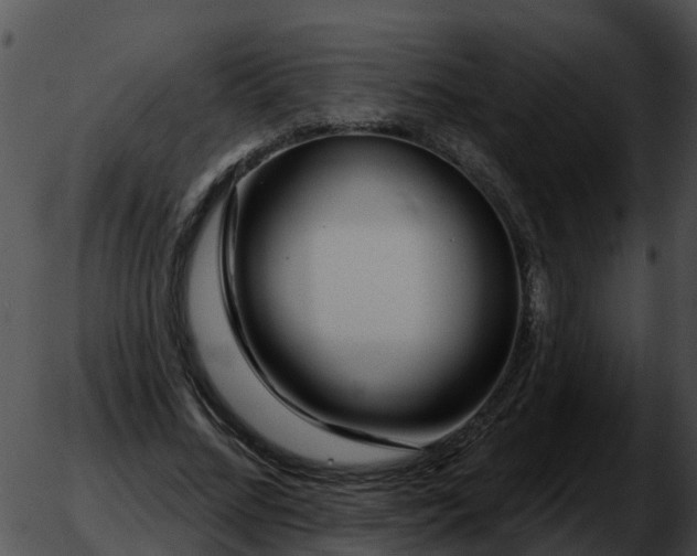 X0000051860684200507012341