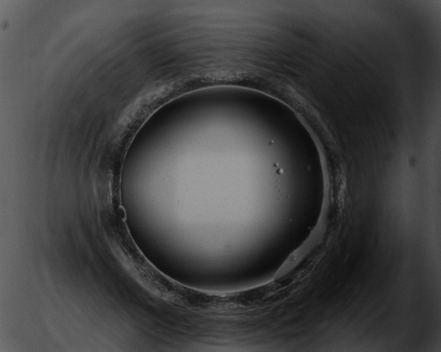 X0000051860685200507012341