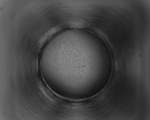 X0000051860686200507012341