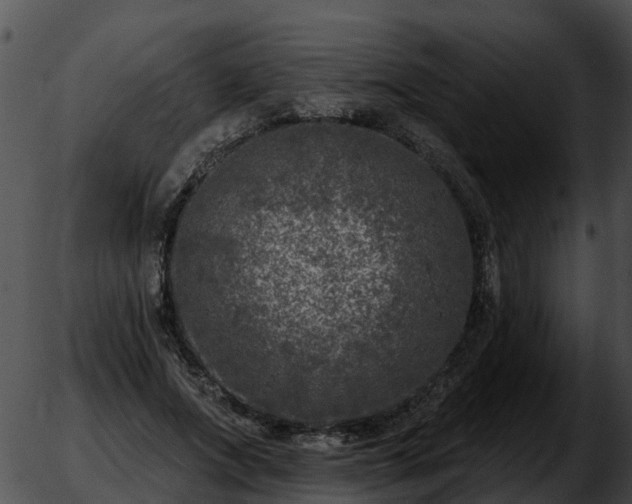 X0000051860687200507012341