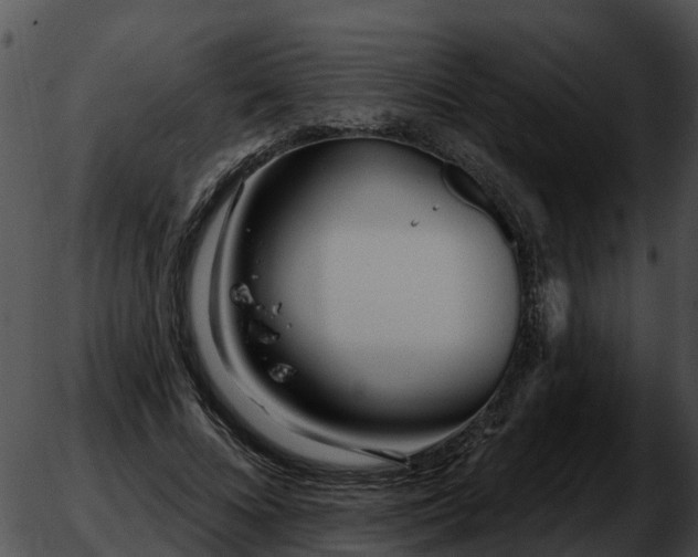 X0000051860688200507012341