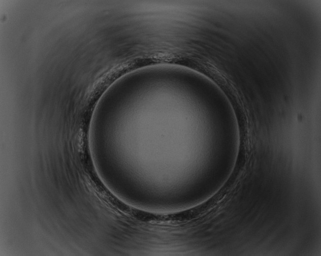 X0000051860689200507012341