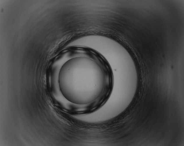 X0000051860690200507012341