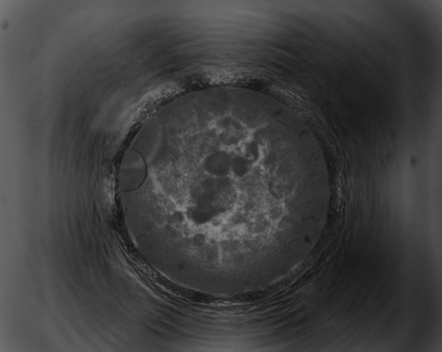 X0000051860691200507012341