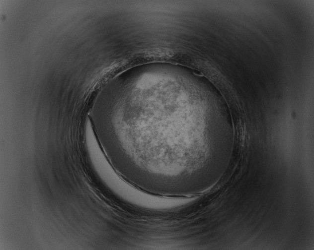 X0000051860692200507012341