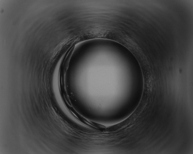 X0000051860693200507012341