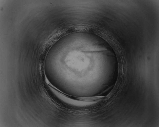 X0000051860696200507012341