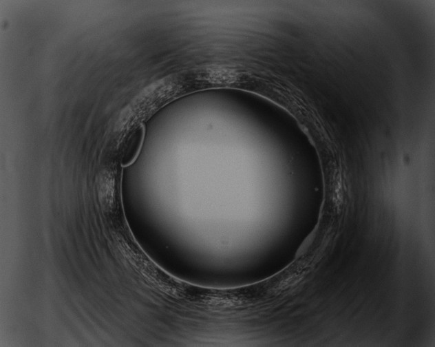 X0000051860697200507012341