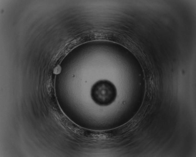 X0000051860698200507012341