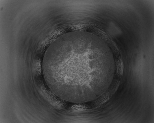 X0000051860699200507012341