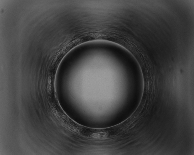 X0000051860700200507012341