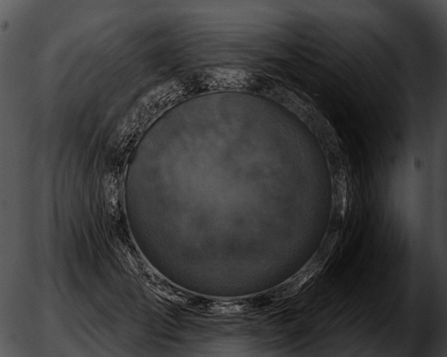 X0000051860701200507012341