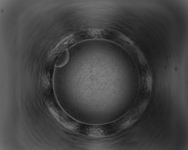 X0000051860702200507012341