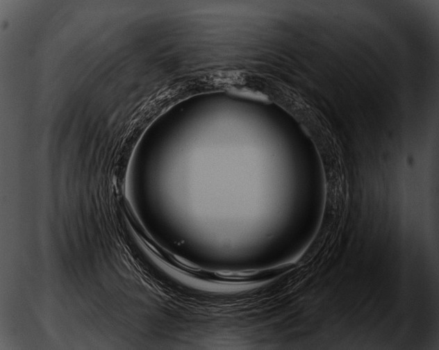 X0000051860704200507012341