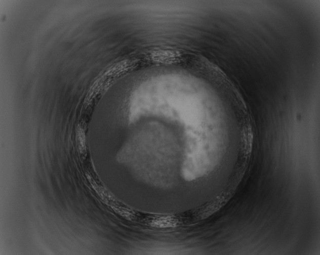 X0000051860705200507012341