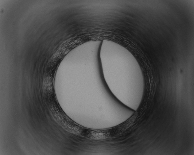 X0000051860706200507012341