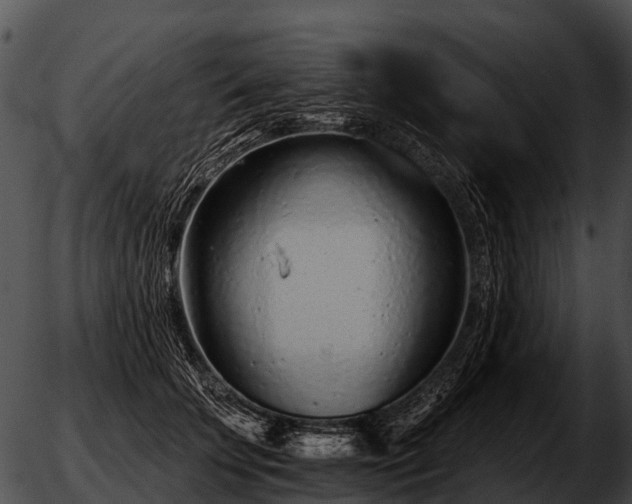 X0000051860707200507012341