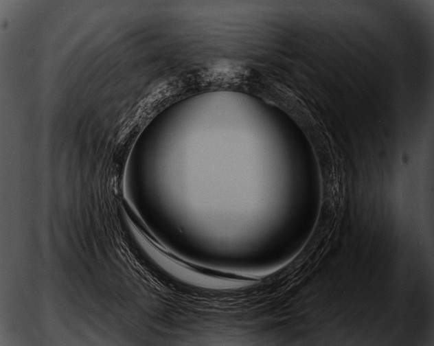 X0000051860708200507012341