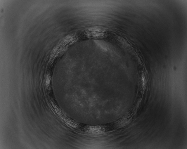 X0000051860709200507012340