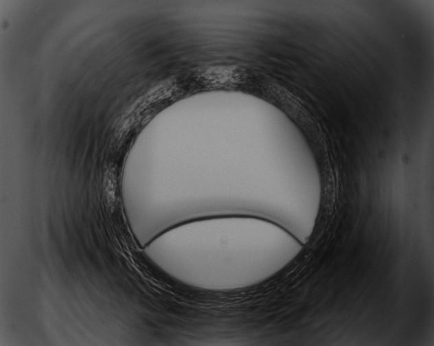 X0000051860710200507012340