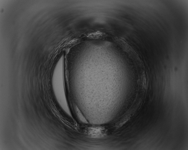 X0000051860711200507012340