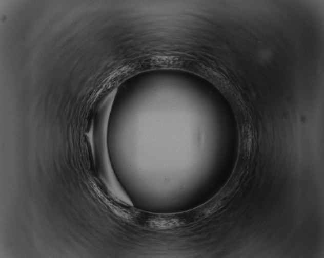 X0000051860712200507012340