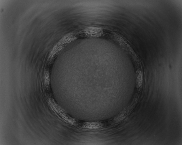 X0000051860713200507012340