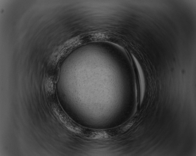 X0000051860715200507012340