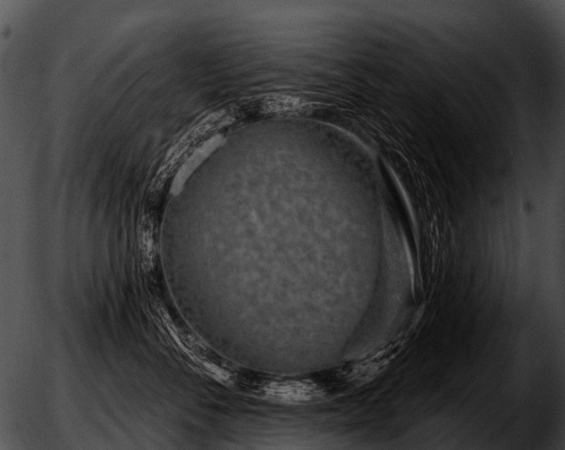 X0000051860716200507012340