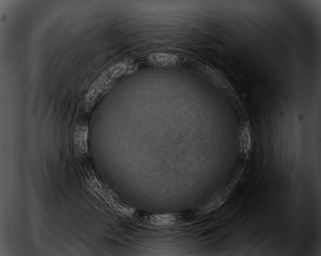 X0000051860717200507012340