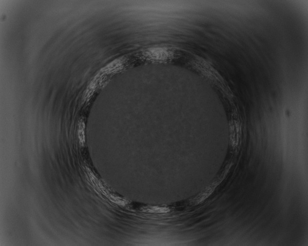 X0000051860718200507012340