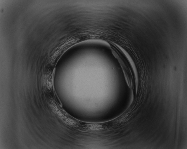 X0000051860719200507012340