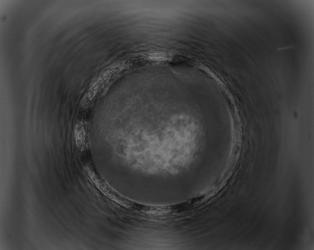 X0000051860720200507012340