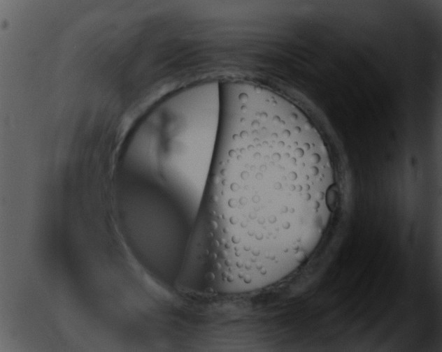 X0000051860721200507012340