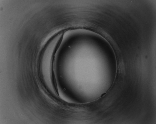 X0000051860722200507012340